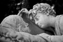 Altra immagine